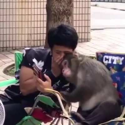 Just some monkey business?