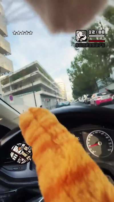 GTA Cat version