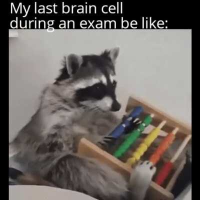 My brain doesn't work properly