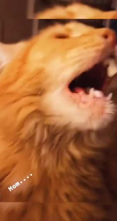 You can have one bite!
