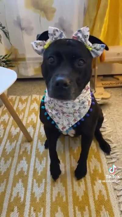 Tippy taps