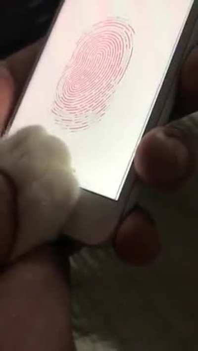 [OC] My cat can now unlock my iphone with his fingerprint ?