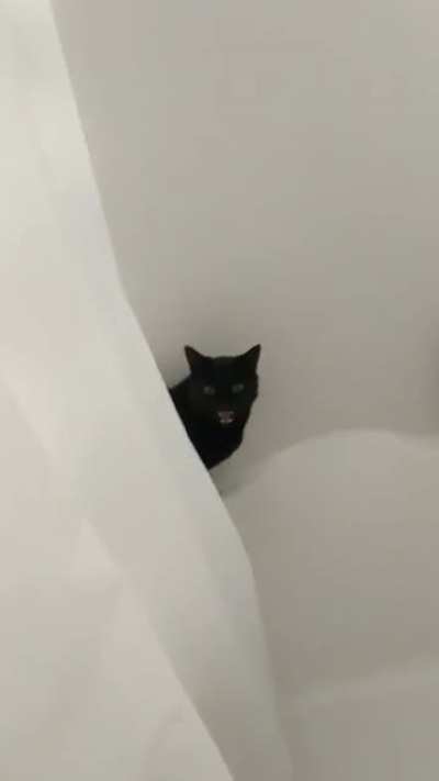 Sorry to interrupt, ma’am.