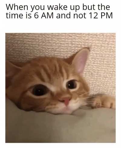 I'll wake up at 8 AM... *Wakes up and the time is 12 PM*