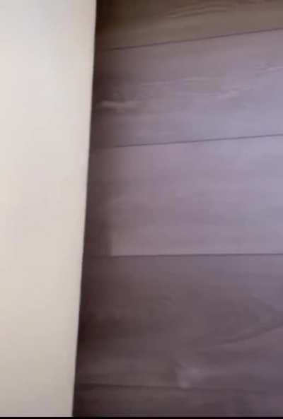Sneak 100
