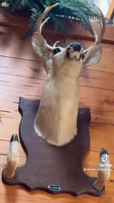 You disrespect me?