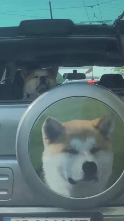 "Why yes, it is I."