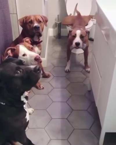 Waiting patiently