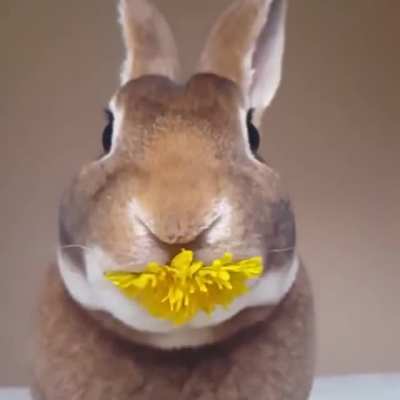 ? Stop and eat the flowers