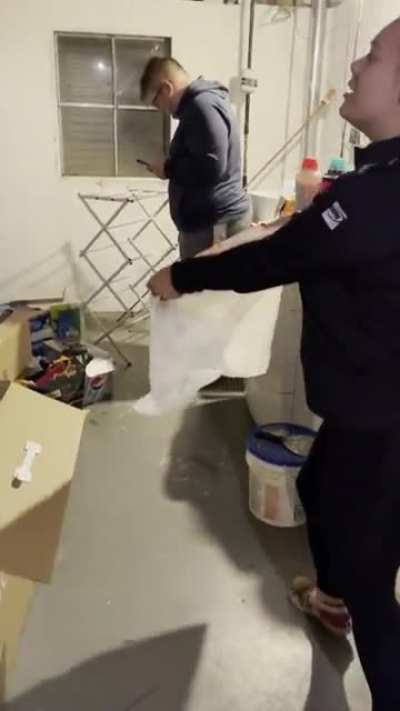 Wife vs mouse trap
