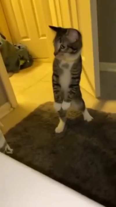 Hey, watch it!