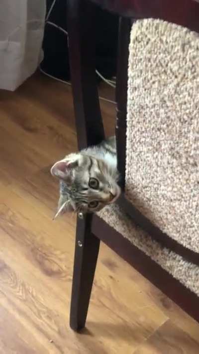 peek-a-boo