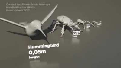 Size matters