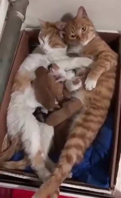 FAMILY????