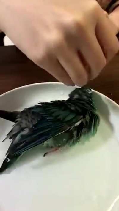 "Marinating the chicken"