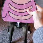Please help, I think there's something wrong with my Lickitung