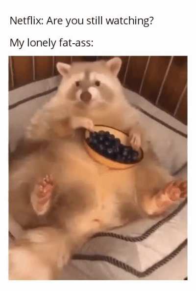 *S A D*