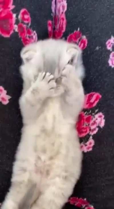 Good morning ?