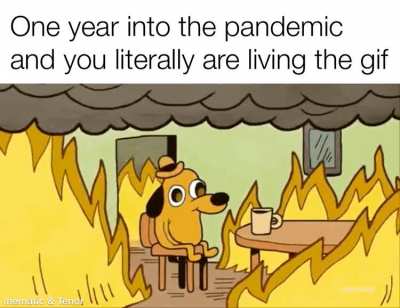 It’s been a bumpy ride