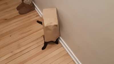 "This is my life now"
