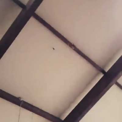 Glue stick on roof.
