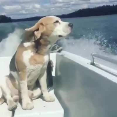 Breezing by