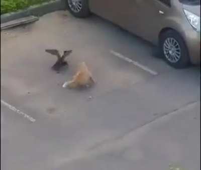 Partners in crime ?