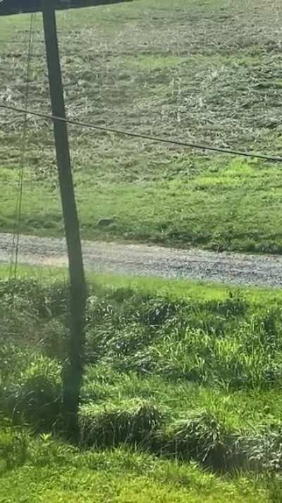 WCGW recording a Groundhog?