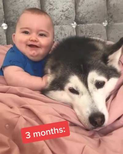My heart