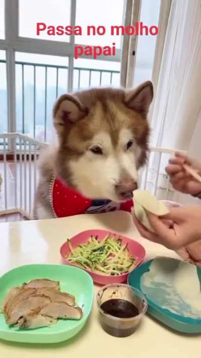Are you kidding me, hoooman?