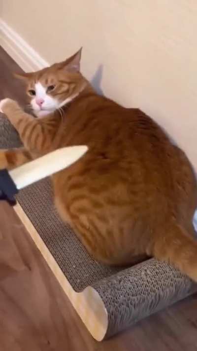 Maybe maybe maybe