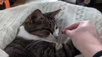 Best way to wake up from a nap ?