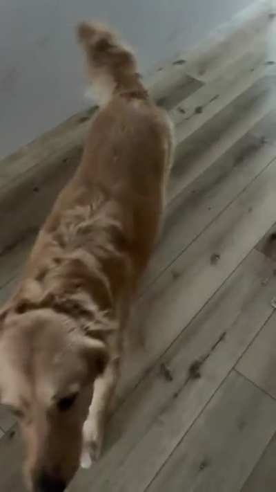 Act normal