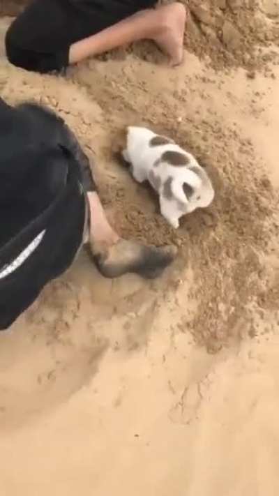 What can happen when you dig holes?