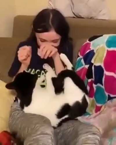 Please allow me to sit on your lap, hooman!