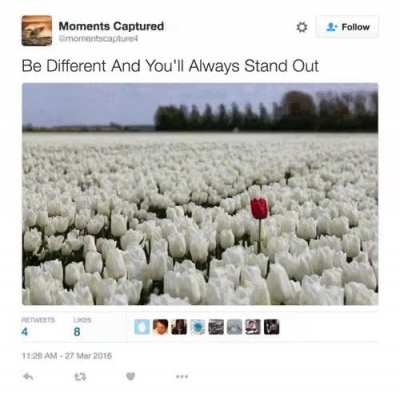 Memes on Reddit