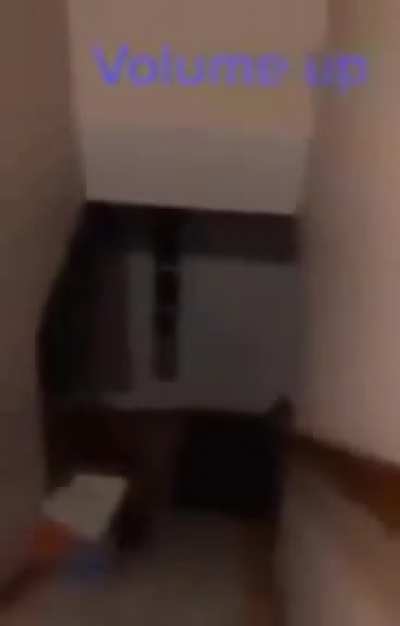 I recently saw an image of an exploded/melted toilet tank with the wall behind it charred, so that’s where my head was at going into this...
