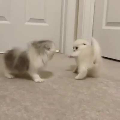 Fluffy angels