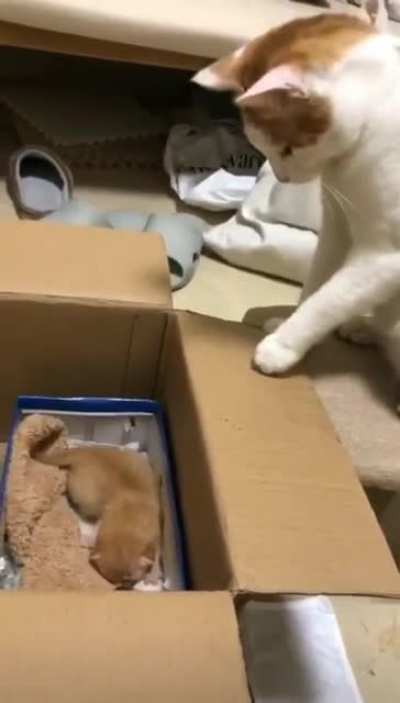 Mama give you a hand here!