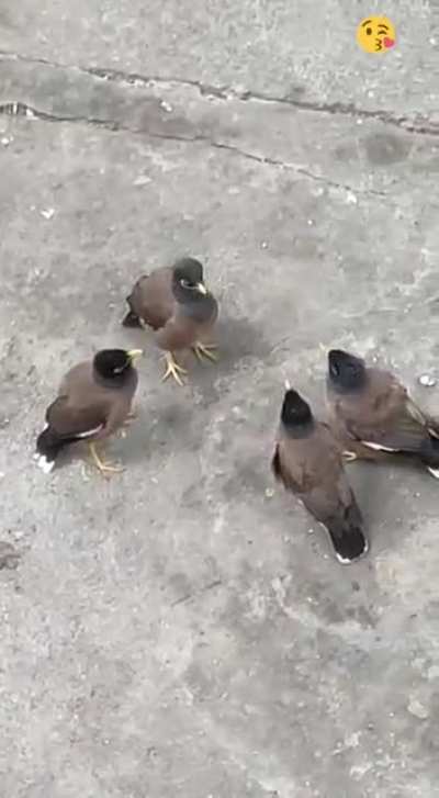 ? comment what these guys are discussing