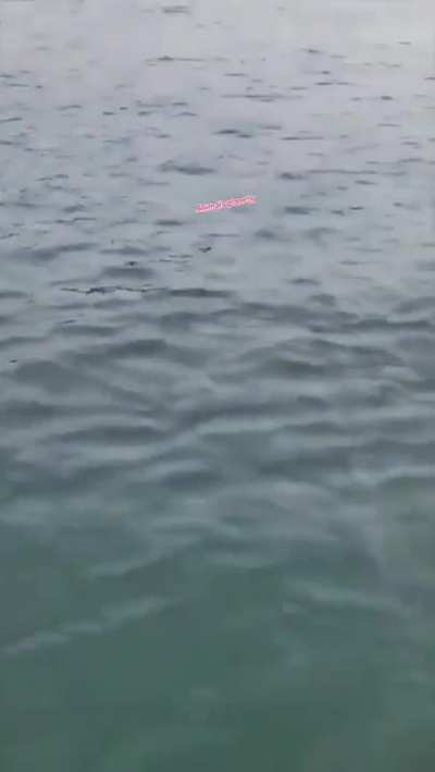 Just wow.  Absolutely terrifying and amazing