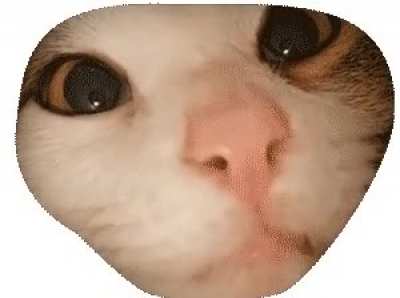 Aww ?