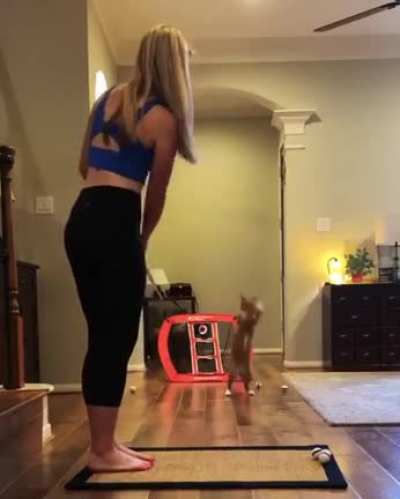 Nice “cat”ch