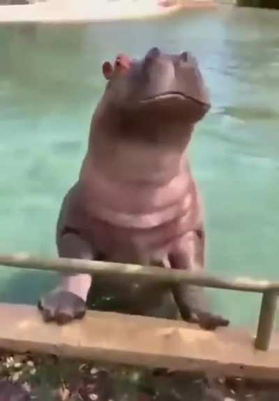 oh my his enjoying