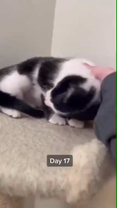 Day by day is a close friend