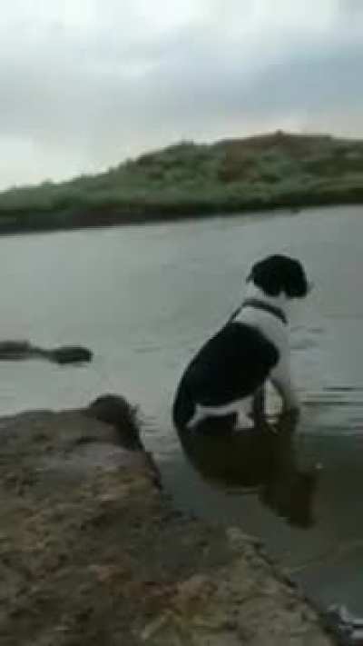 Maybe maybe maybe