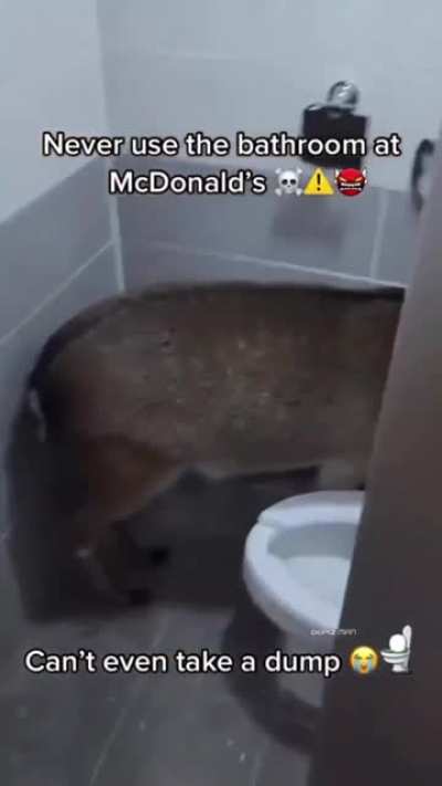 to take a dump.