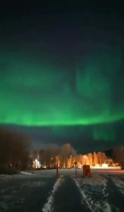 ? "Norwegian nighhts, unlike Norwegian daays!"