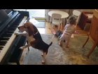 Nobody has ever had as much fun at a party as these two are having at this party