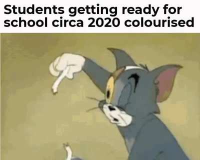 Online School be like